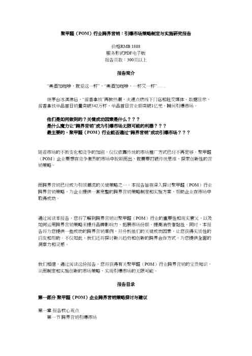 聚甲醛（POM）行业跨界营销：引爆市场策略制定与实施研究报告