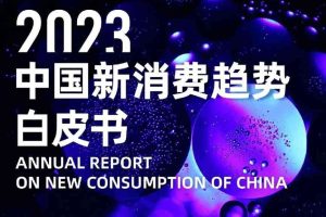 消费行业：2023中国新消费趋势白皮书