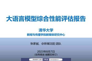 大语言模型综合性能评估报告