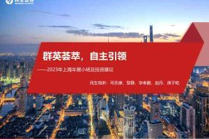 民生电新：2023年上海车展小结及投资建议：群英荟萃，自主引领