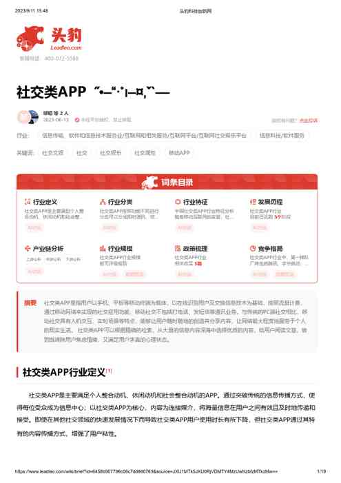 社交类APP 头豹词条报告系列