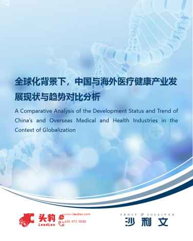 全球化背景下,中国与海外医疗健康产业发展现状与趋势对比分析(摘要版)