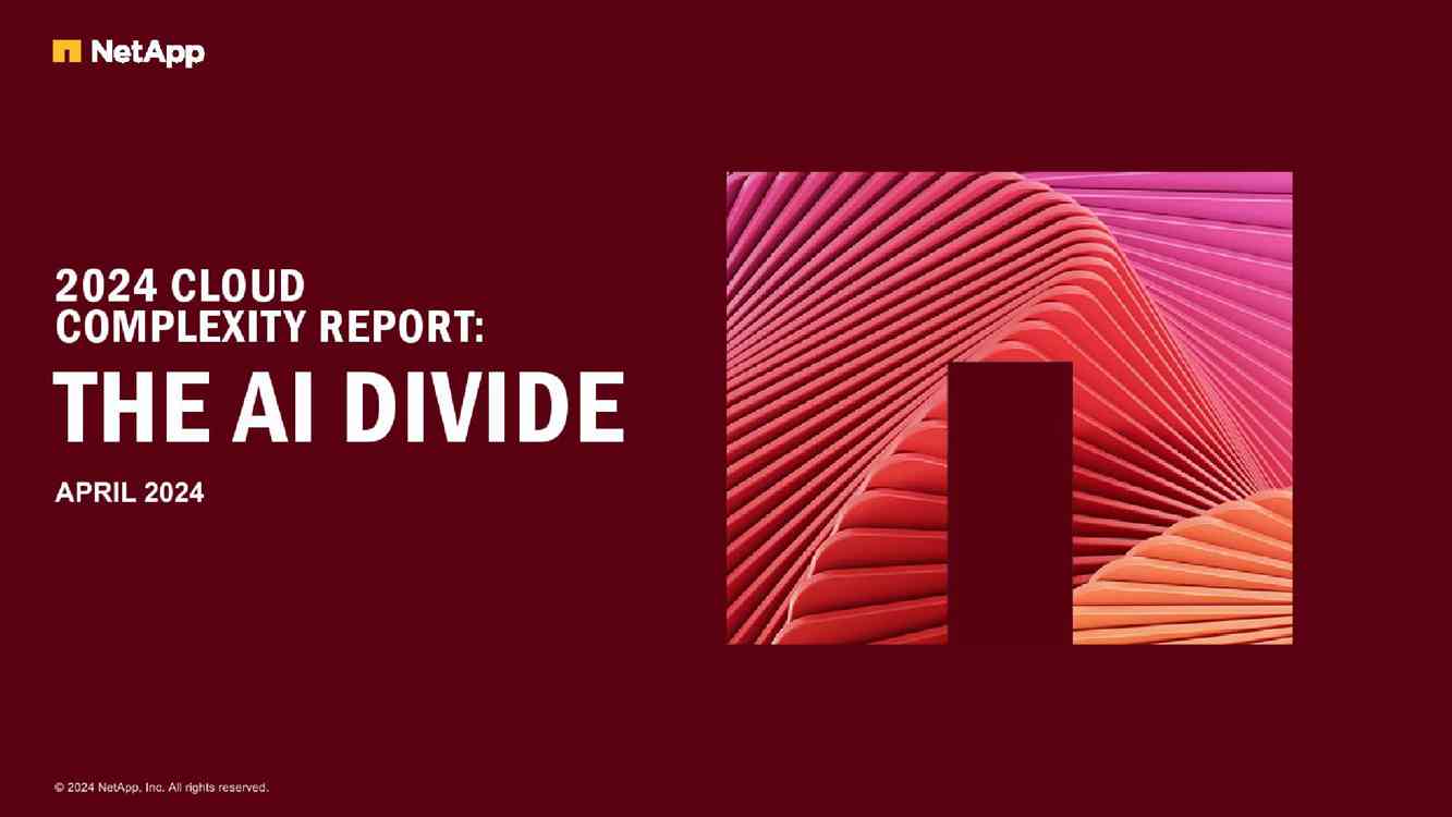2024年云复杂性报告：人工智能鸿沟