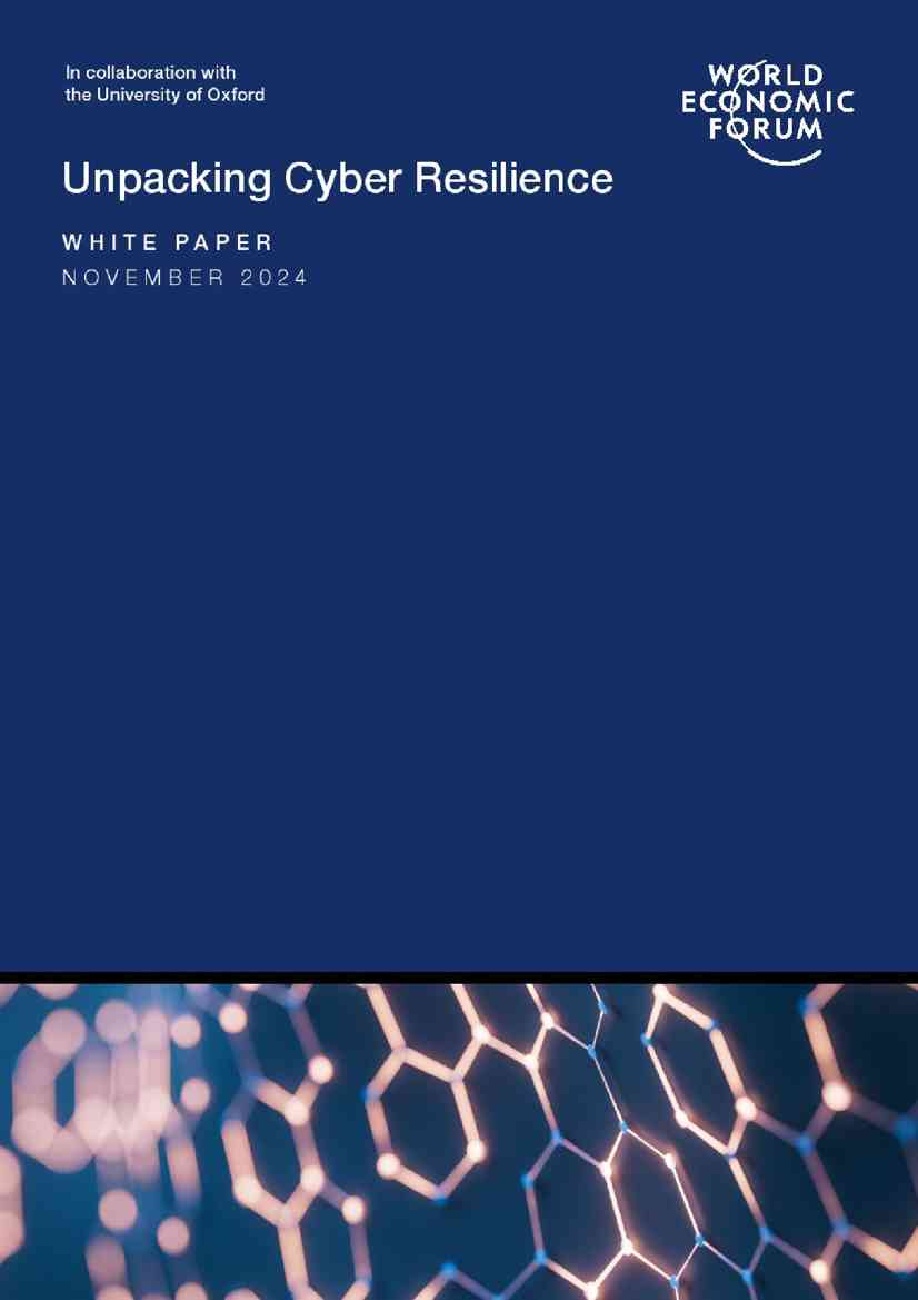 世界经济论坛：揭示网络弹性