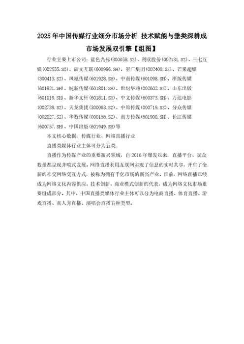 技术赋能与垂类深耕成市场发展双引擎【组图】