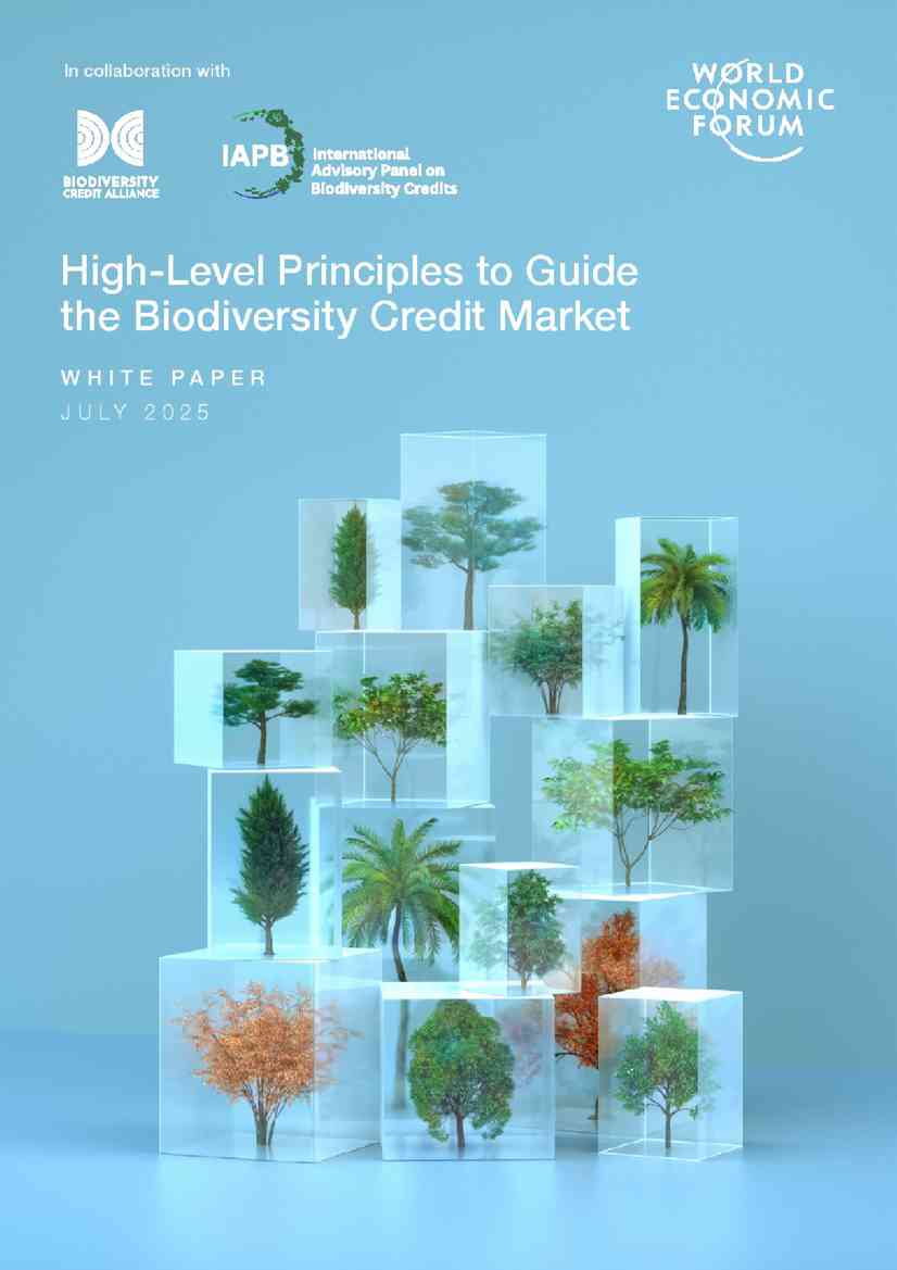 世界经济论坛：指导生物多样性信贷市场的高级原则